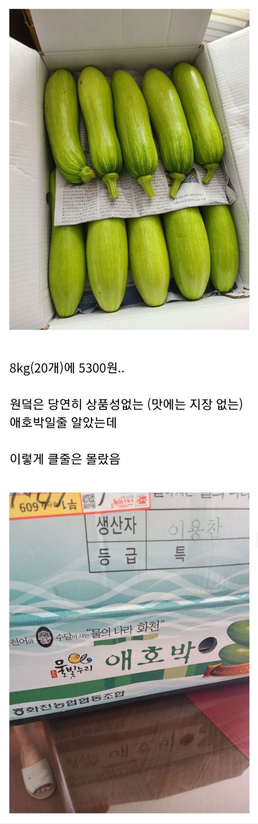 우체국에서 5300원에 판매했던 애호박 크기