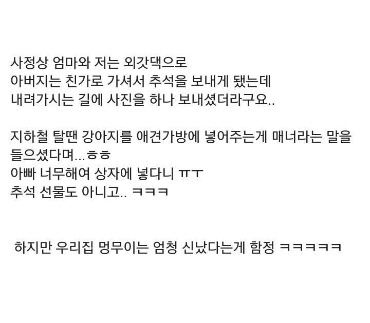 추석쇠러 가던 강아지