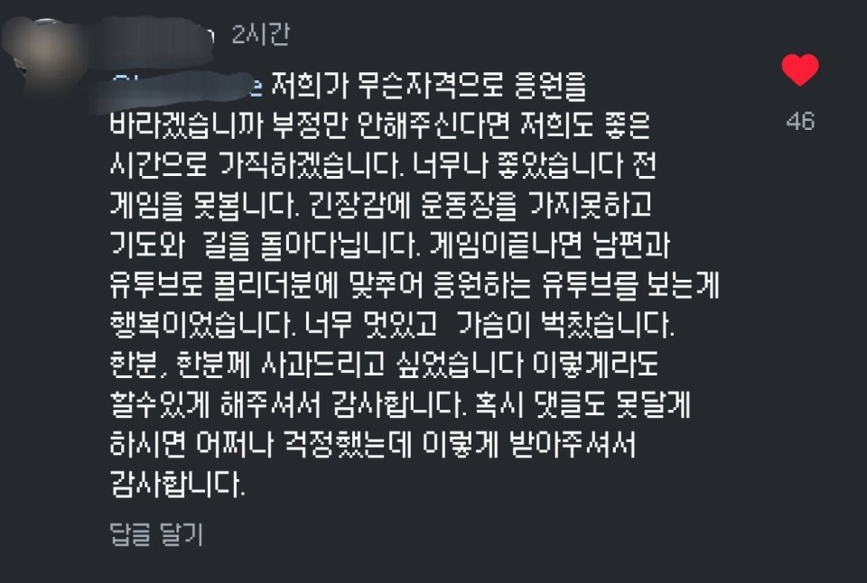 홍명보 와이프로 추정되는 울산 인스타 댓글 
