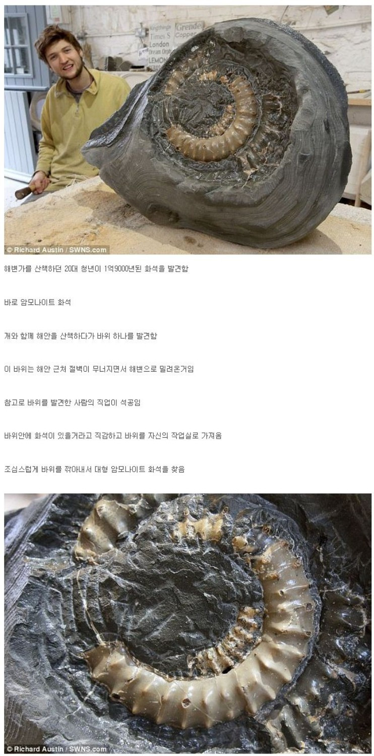 개랑 산책하다 발견한 화석