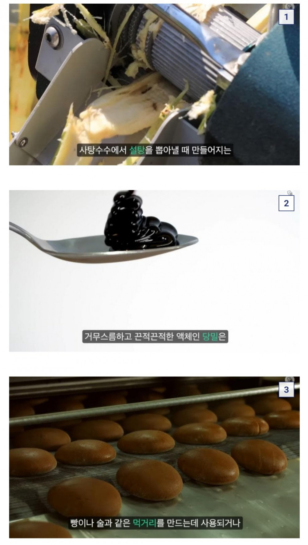 미국에 일어났었던 가장 달콤한 홍수