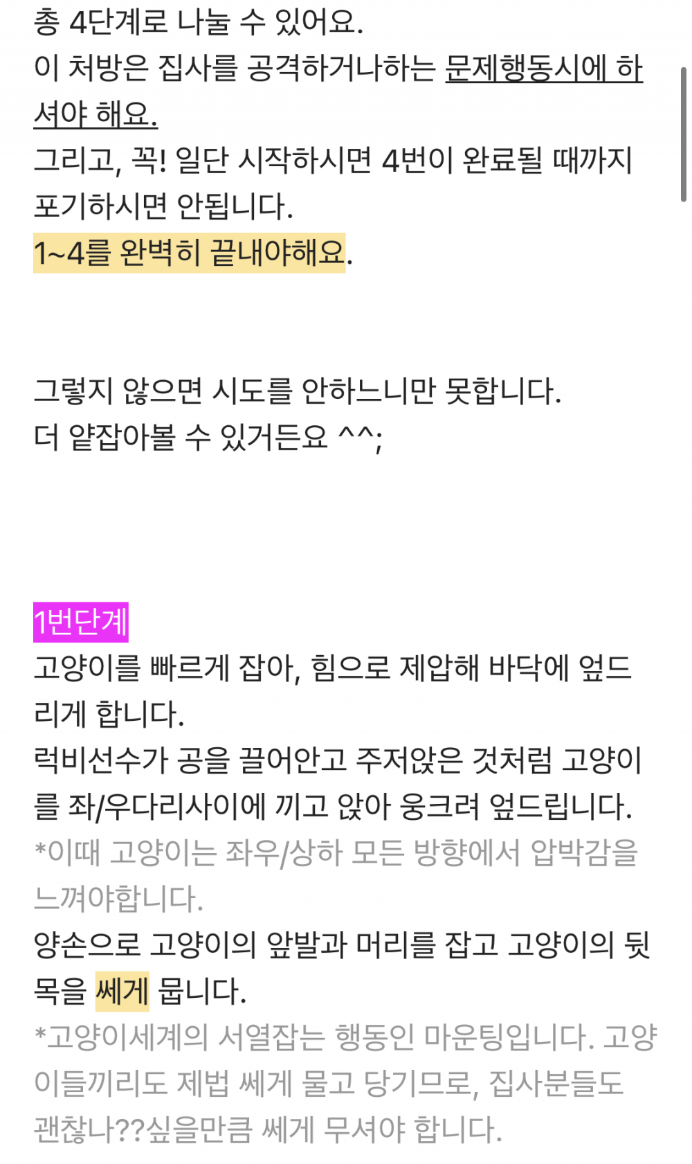 고양이 조련방법 ㄷㄷ