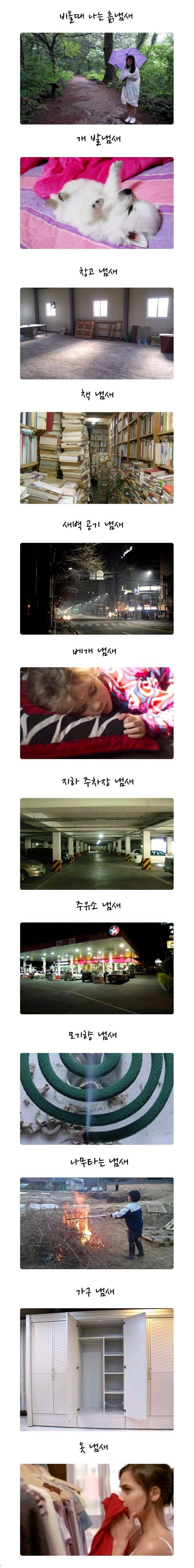 의외로 사람들이 좋아하는 냄새