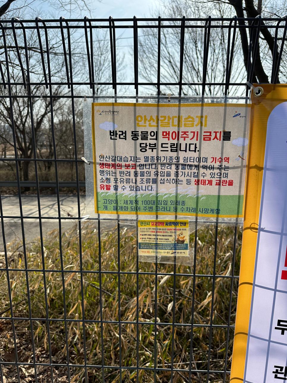 안산 갈대 습지에 붙은 안내문