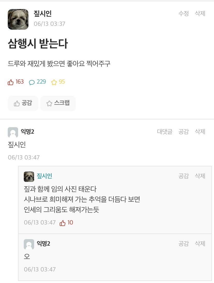 고려대 에타에 나타난 삼행시장인