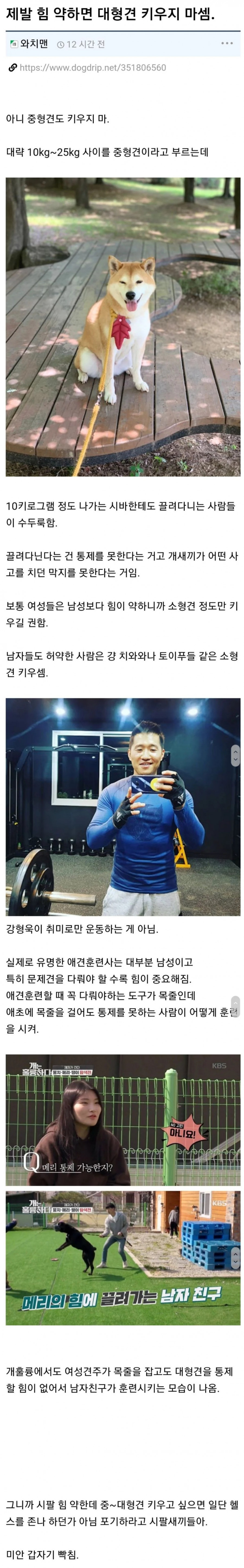 제발 힘 약하면 대형견 키우지 마셈.gif