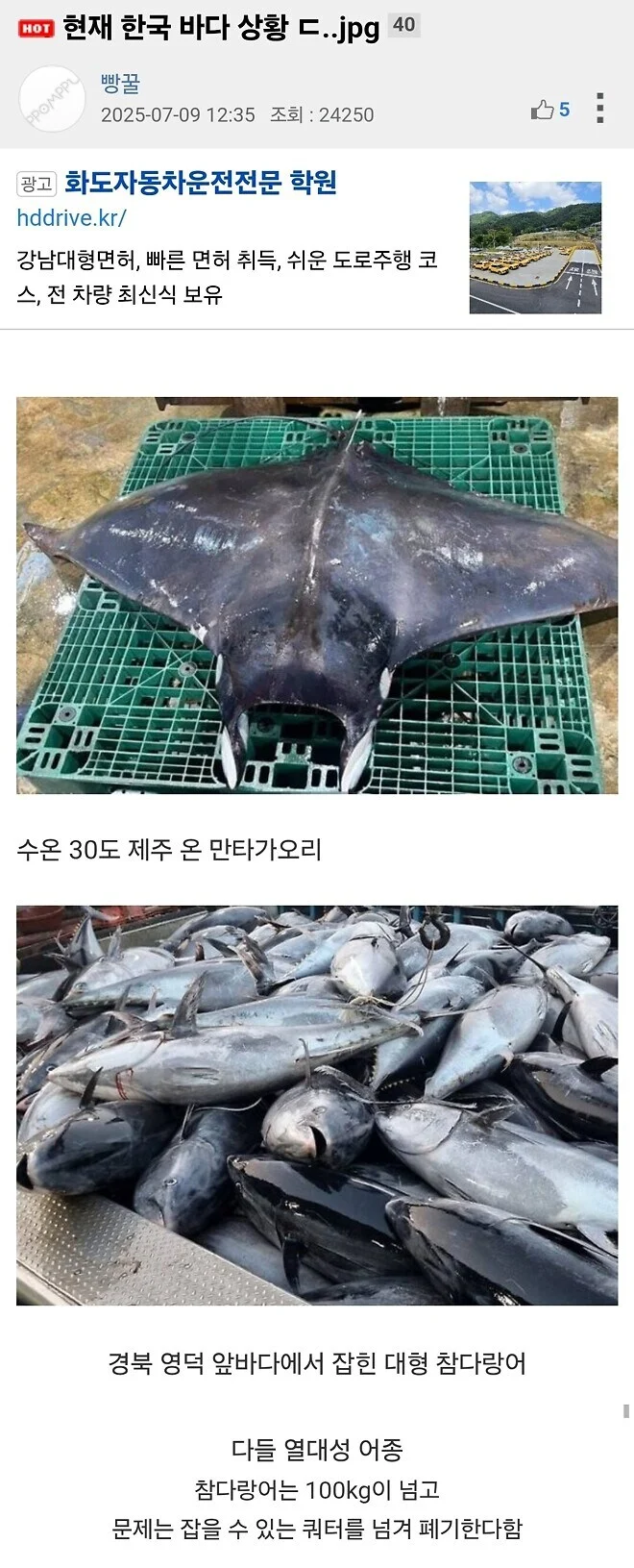 현재 대한민국의 바다 상황