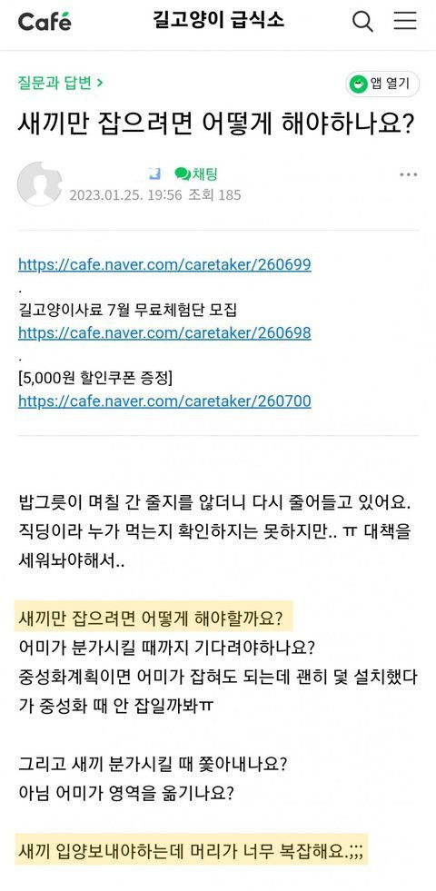 최근 캣맘카페 분위기