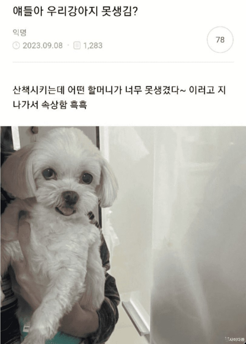 얘들아 우리강아지 못생김?