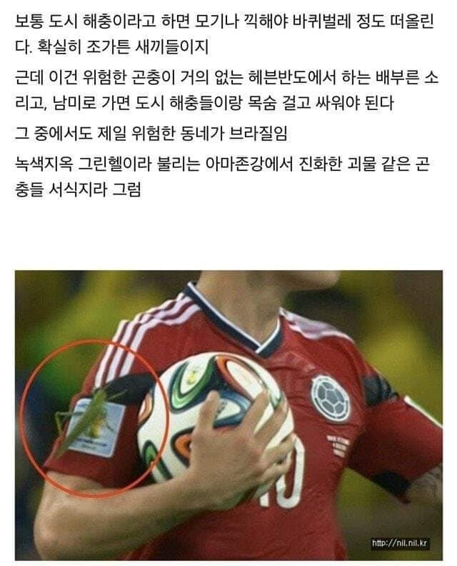 싱글벙글 전갈과 사투 중인 나라