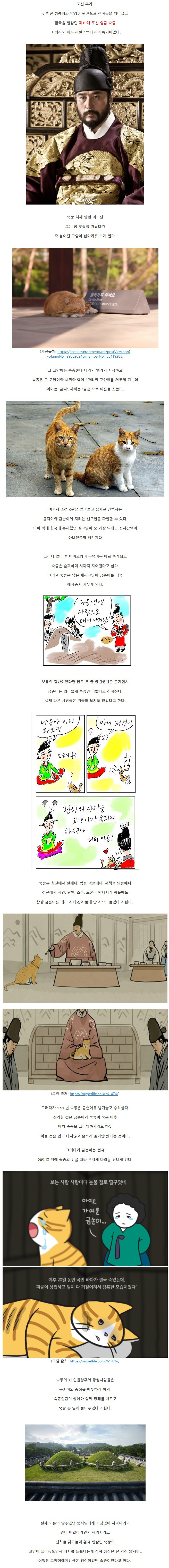 조선시대 고양이에게 진심이었던 캣맘 임금