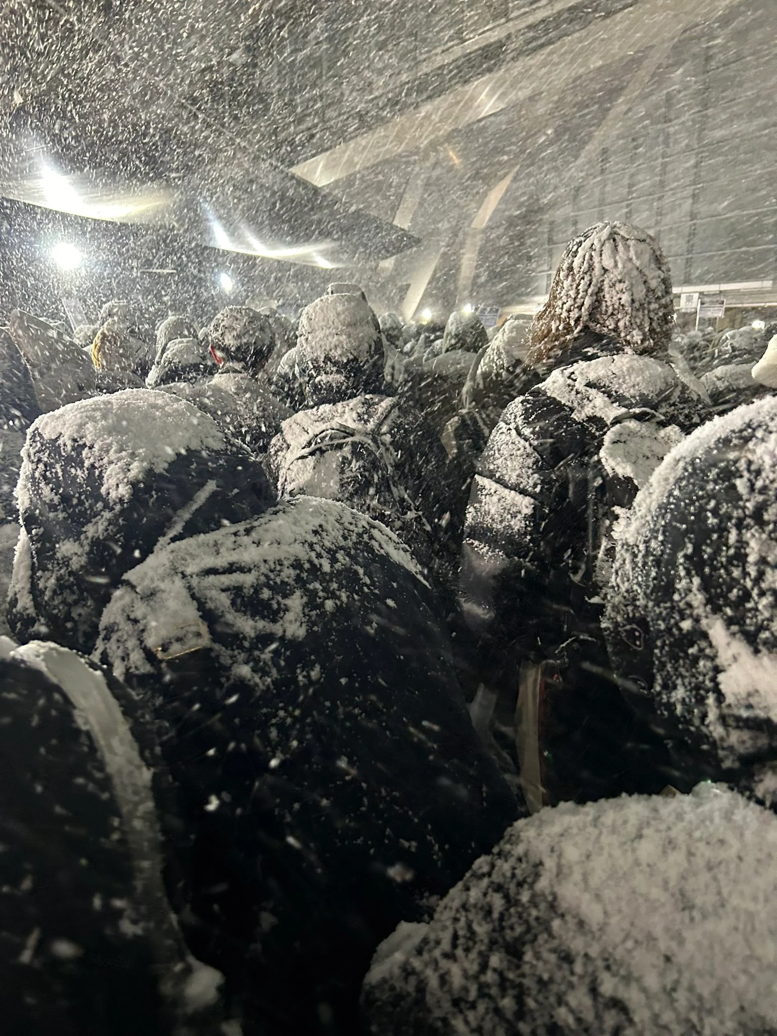 폭설 내렸다는 요네즈 켄시 콘서트