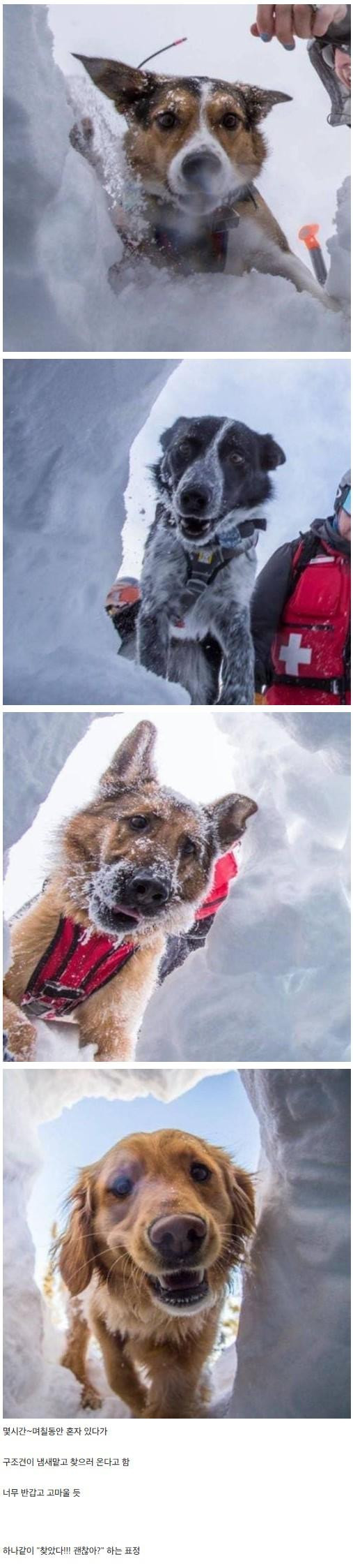 조난당한 사람이 평생 잊지 못한다는 얼굴
