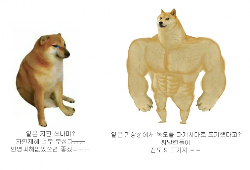 일본 지진 났을때 나오는 반응