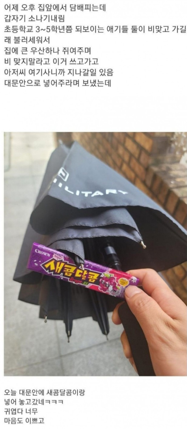 요즘 초등학생 인성