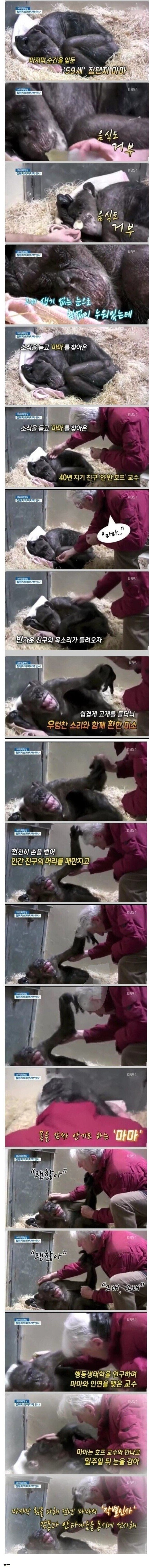 40년 지기 친구와의 마지막 작별 인사