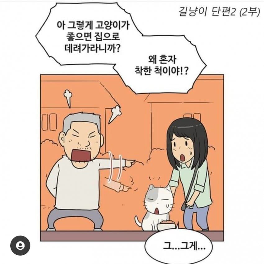 캣맘들이 길고양이를 자기집에 데려가지 않는 이유
