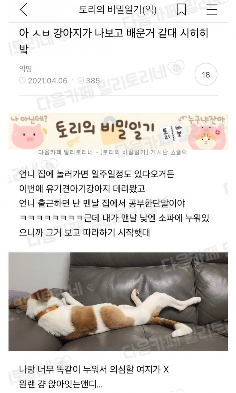 강아지가 나보고 배운 거 같대