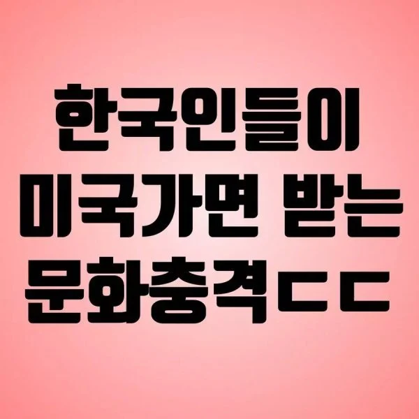 한국인들이 미국에서 살면 받는 문화충격