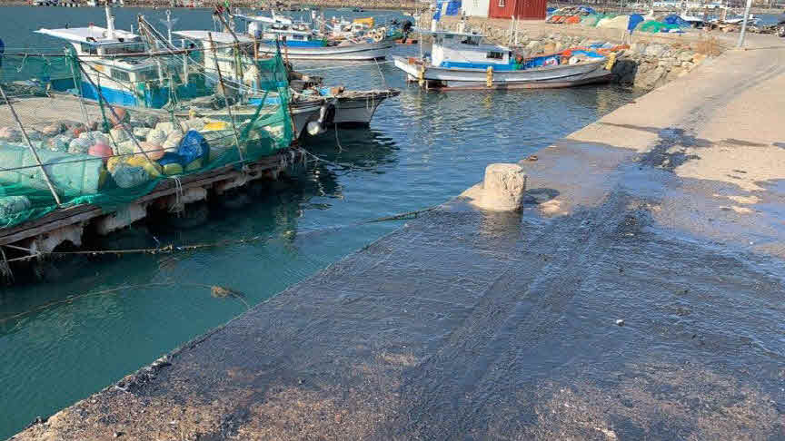 ê¸°ì¬ ëí ì´ë¯¸ì§:í¸ë­ ì¶ë½ ëª©ê²©í 40ë, ë°ë¤ ë°ì´ë¤ì´ ì¬ì± 2ëª êµ¬ì¡°