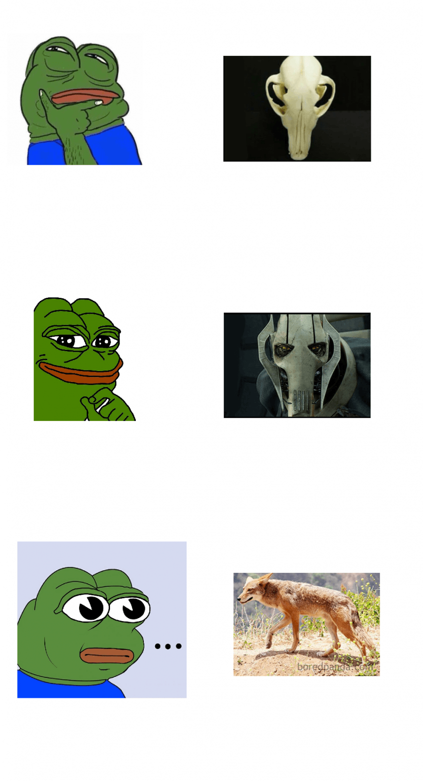 싱글벙글 두개골 모양으로 동물 맞히기