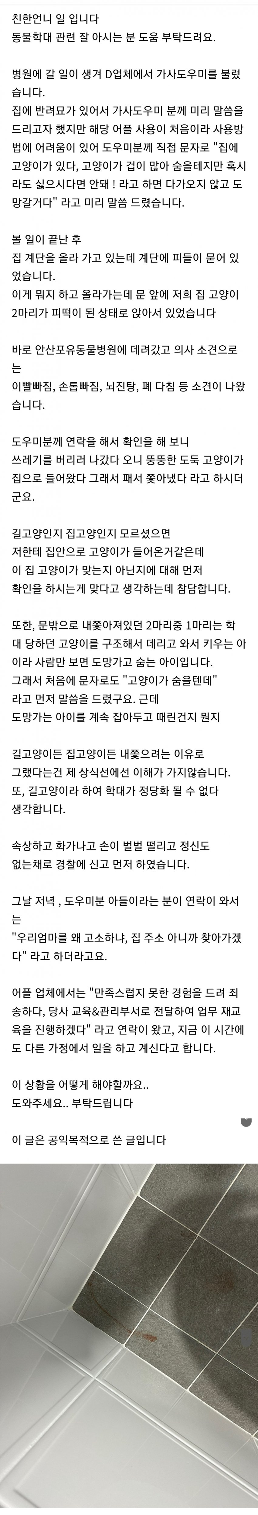 잔인) 집에 키우는 고양이를 때린 가사도우미 논란