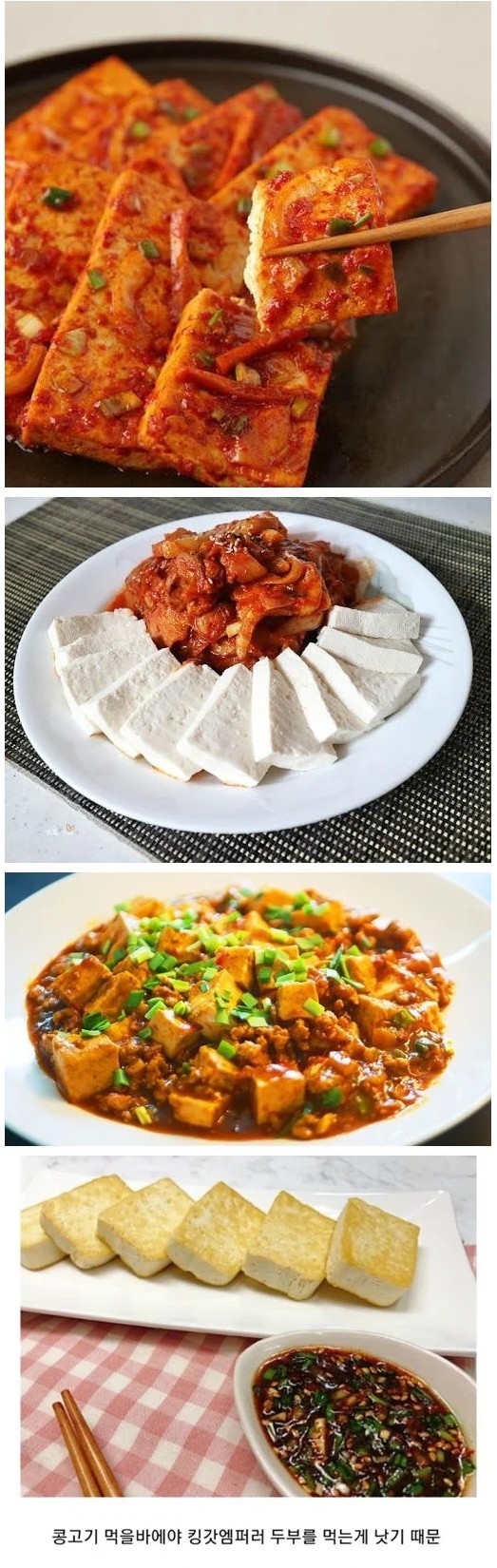 한국에서 콩고기가 반응 없는 이유