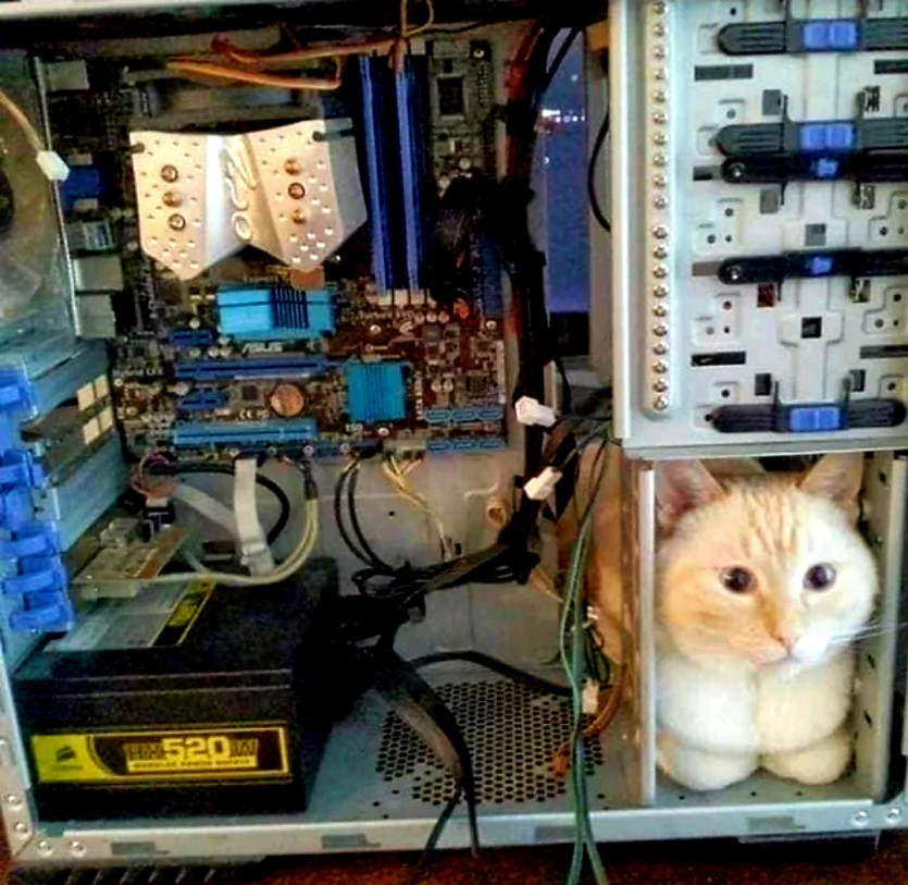 귀여운 고양이가 나오는 게임 &#스트레이&# 플레이 하드웨어 요구사항