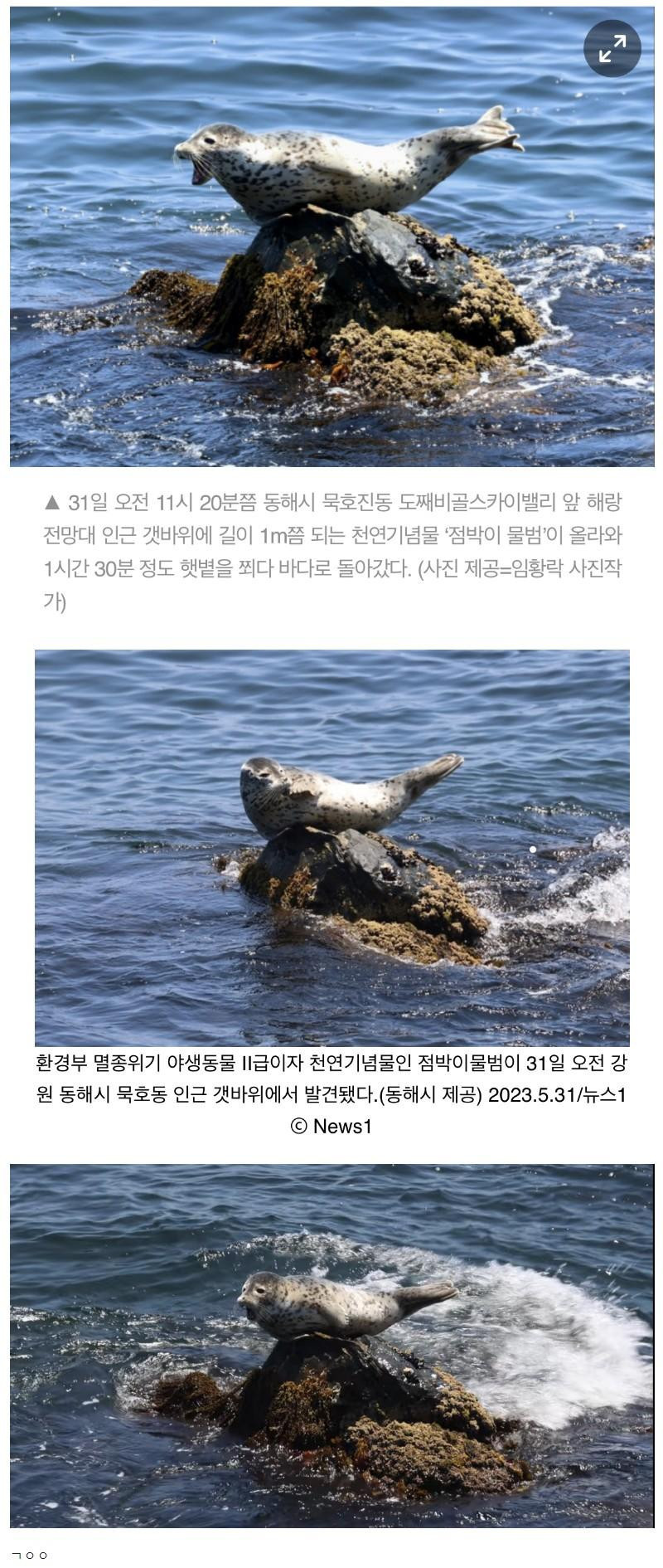 동해시 바다에서 발견된 천연기념물