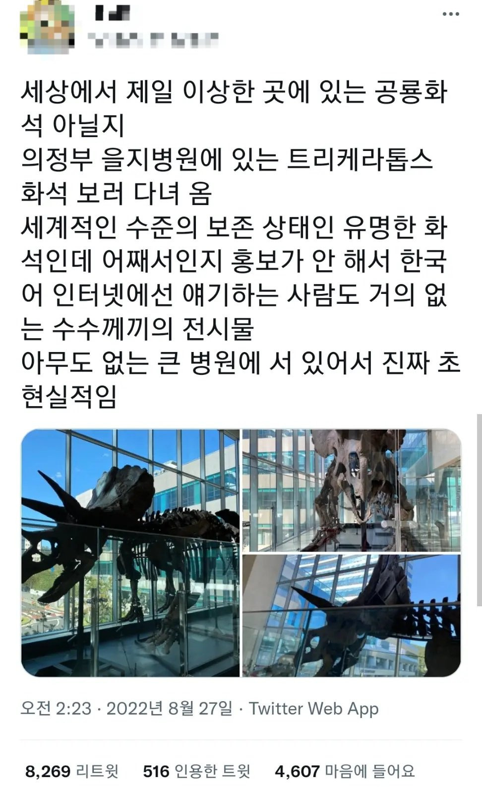 어느 병원 재단 이사장의 취미
