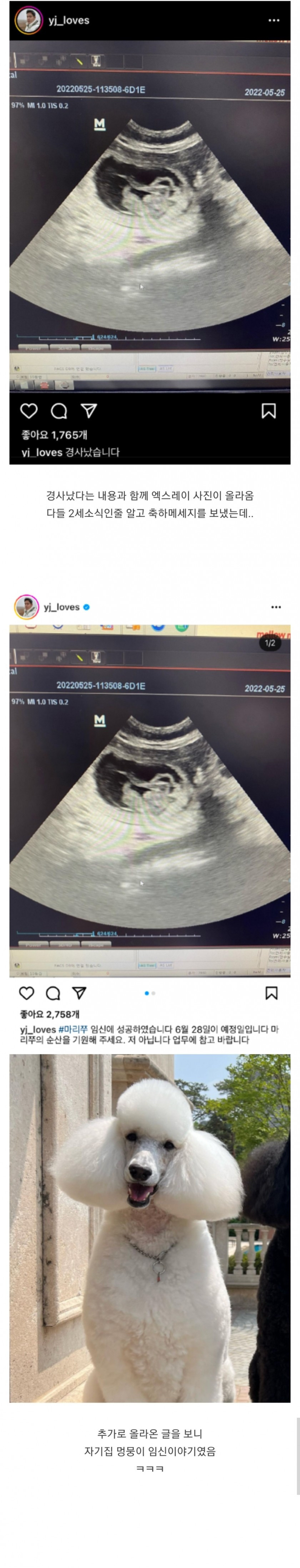 경사났다는 정용진 근황