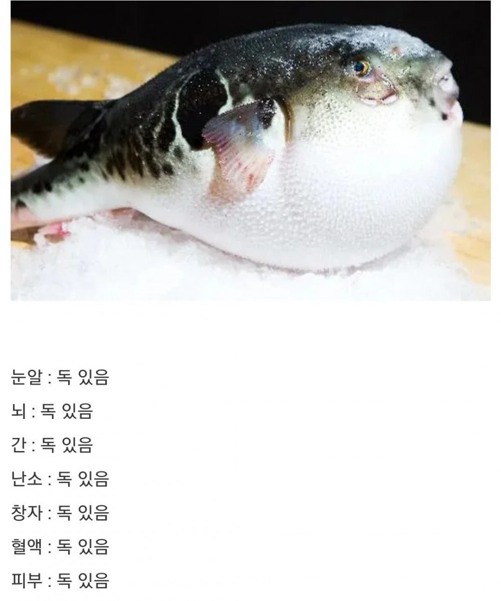 인간을 이해하지 못하는 생물.....jpg