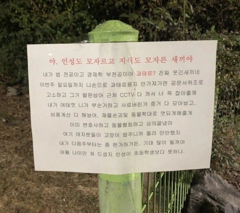 과태료 신고로 버튼 눌린 캣맘