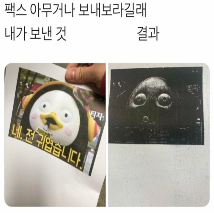 팩스 아무거나 보내보라길래 보냈는데.jpg