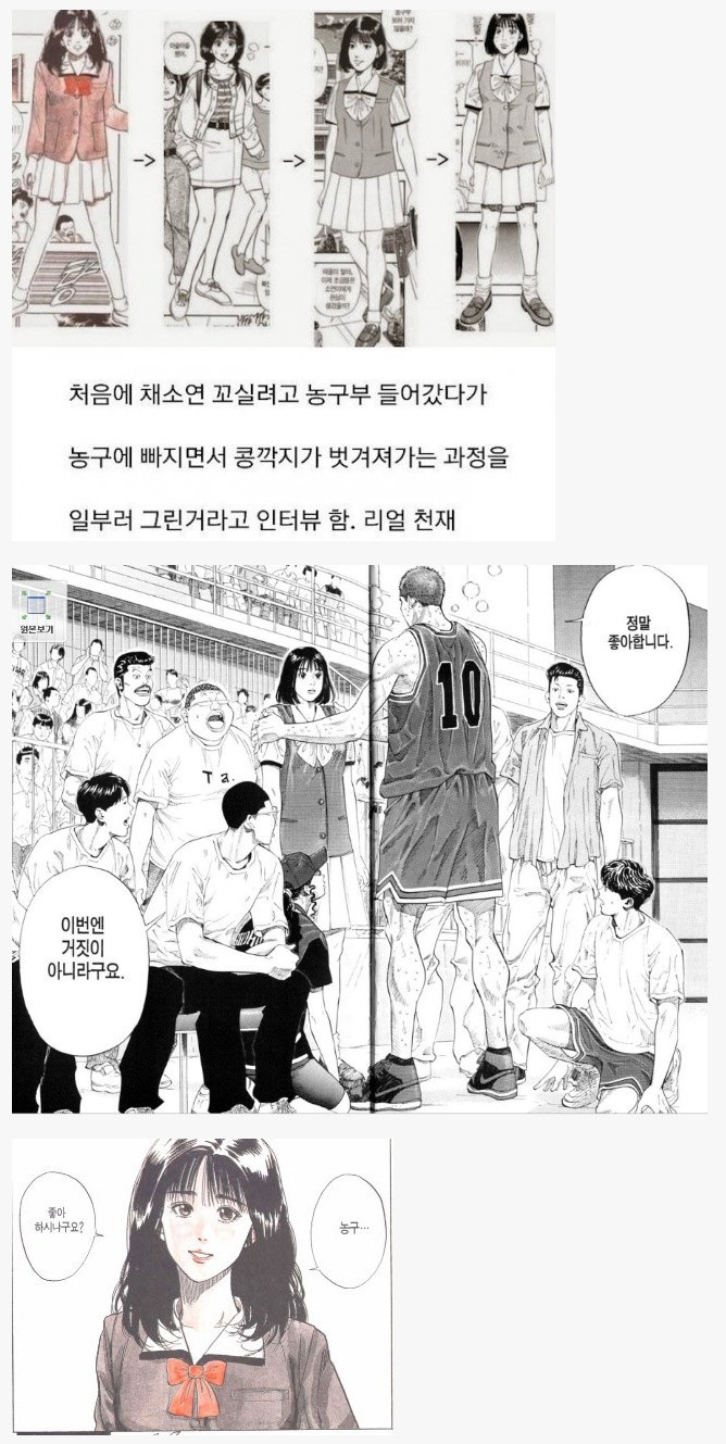 슬램덩크 채소연이 갈수록 못생겨지는 이유