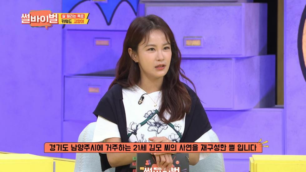 동아리 회장 언니와 고양이