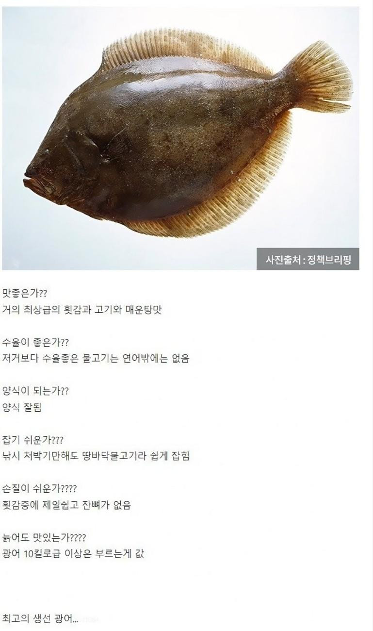 반박 불가 최고의 생선