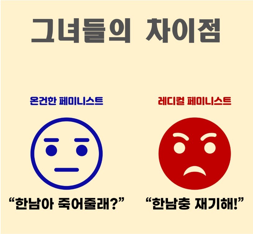 온건 페미 & 레디컬 페미의 차이점