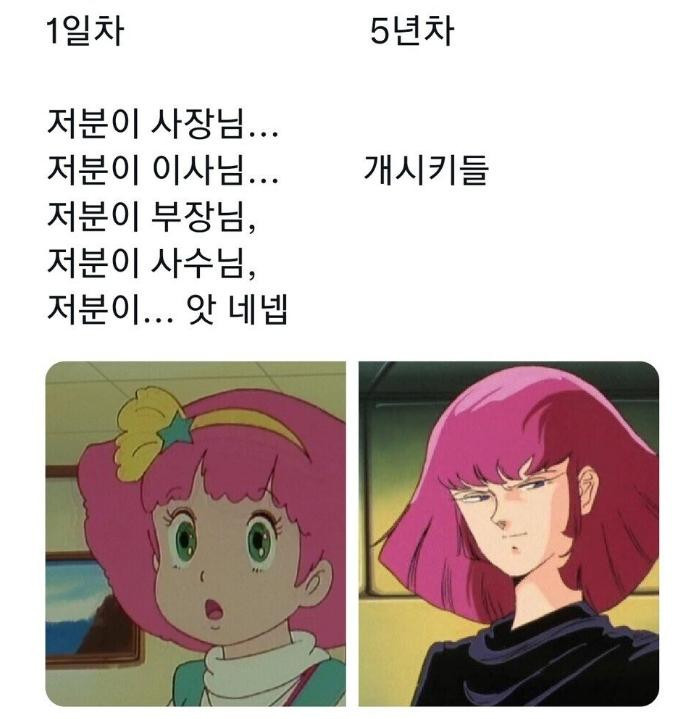 회사 신입과 5년차의 마음가짐 ㅋㅋㅋ