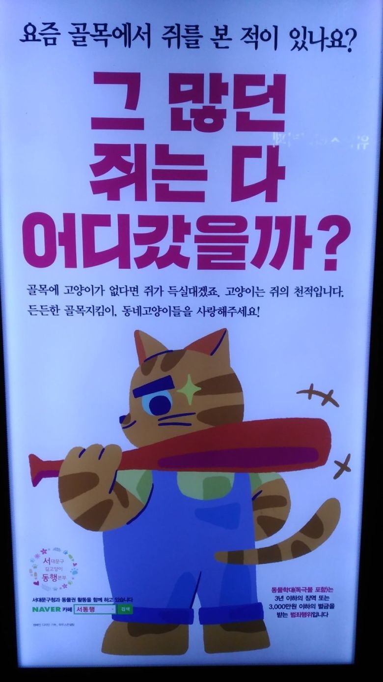 그 많던 쥐는 다 어디로 갔을까？