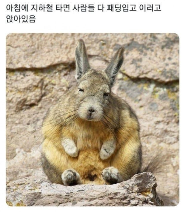 요즘 아침에 지하철 타면 흔히 보이는 것