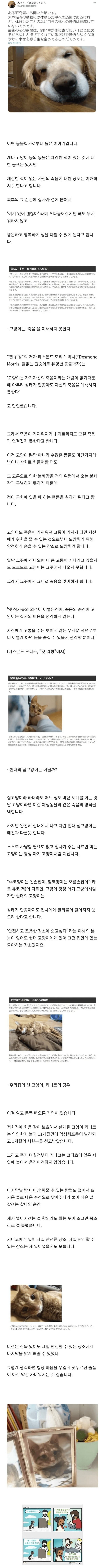 동물은 죽음의 공포를 이해하지 못한다