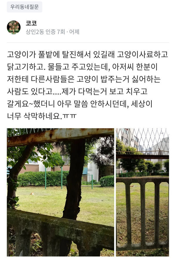 캣맘 vs 해파리