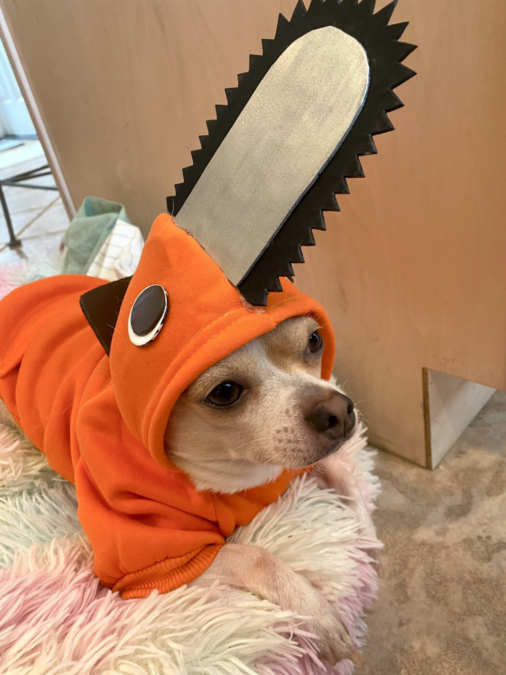 체인소 멍멍이 옷