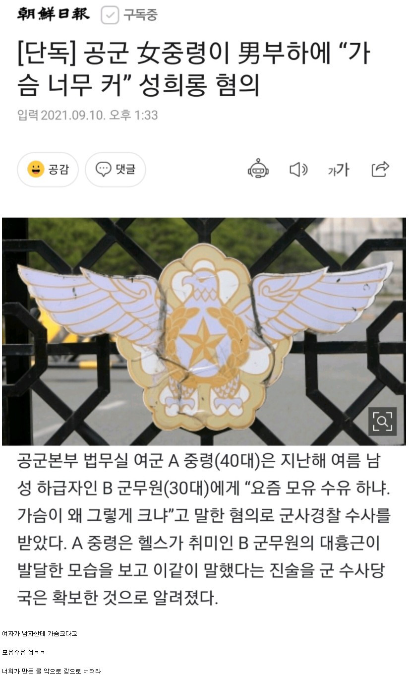 현역 중령이 부하에게 "가슴 너무 커" 성희롱